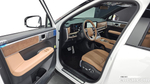 Hyundai Santa Fe (MX5) HEV 1.6 2WD (01.2024)