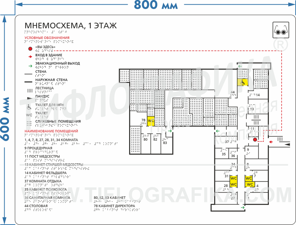 Тактильная мнемосхема ПВХ 600х800х3 мм. Стандартная