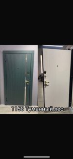 Дверь Входная 1158Е Туманный лес (Белорусь) с витрины