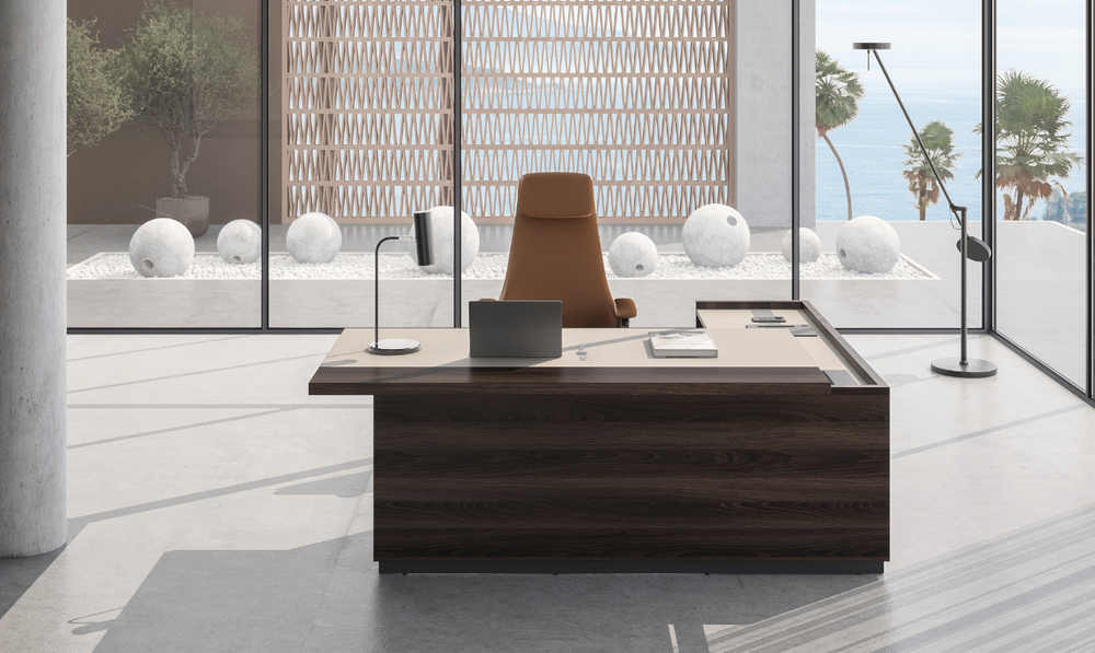 Брифинг-приставка REEF (РИФФ)