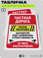 Табличка для частной территории "Частная дорога, проход воспрещен", на дом, для участка, организаций, предупреждающая, 40х30 см, Silver Plane x Айдентика Технолоджи