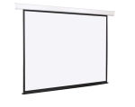 Экран с электроприводом Lumien 174x240 см (16:9) LMC-100114