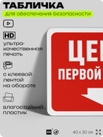Табличка для обеспечения безопасности "Центр первой помощи", для офиса, по охране труда для предприятия, организаций, 40х30 см, Silver Plane x Айдентика Технолоджи