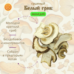 Белый гриб сушеный молодой "Крепкий".