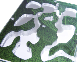 Antrum L зеленый + муравьи Camponotus parius