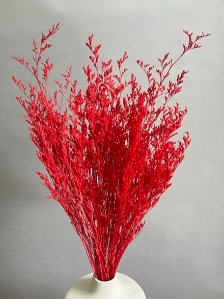 Кермек красный