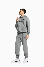 Кофта Puma Essentials No.1 Logo - серый