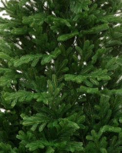 Искусственная елка Флоренция 180 см., 100% литая хвоя, ЕлкиТорг (129180)