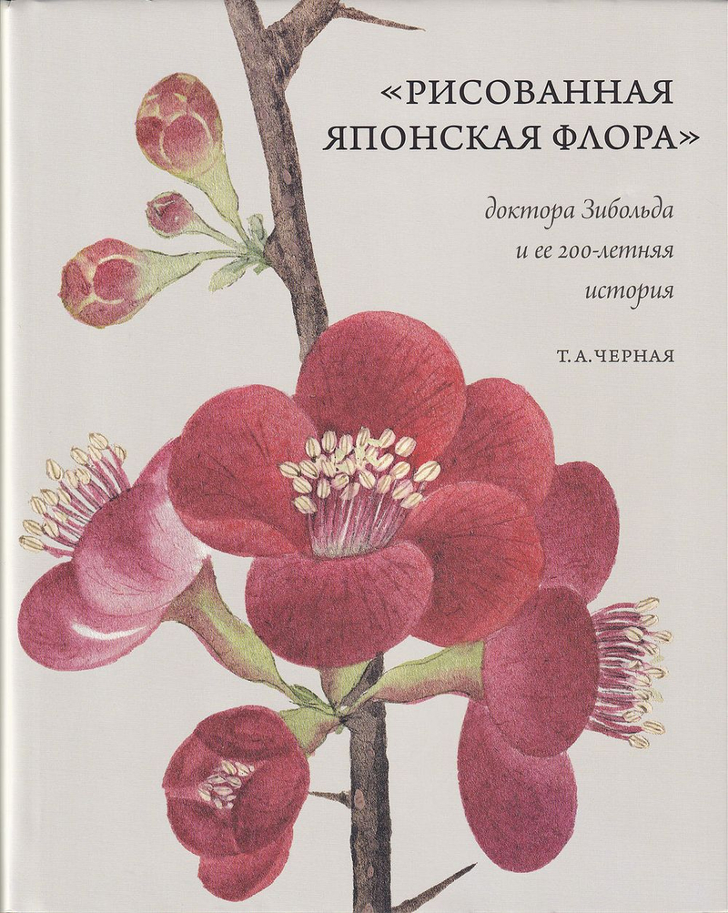 «Рисованная японская флора» доктора Зибольда и ее 200-летняя история