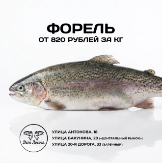 Форель Морская свежемороженная от 800 рублей!