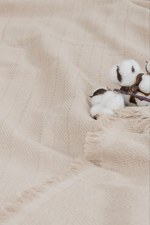 Плед "Merlin" с бахромой 220х240, цвет Бежевый