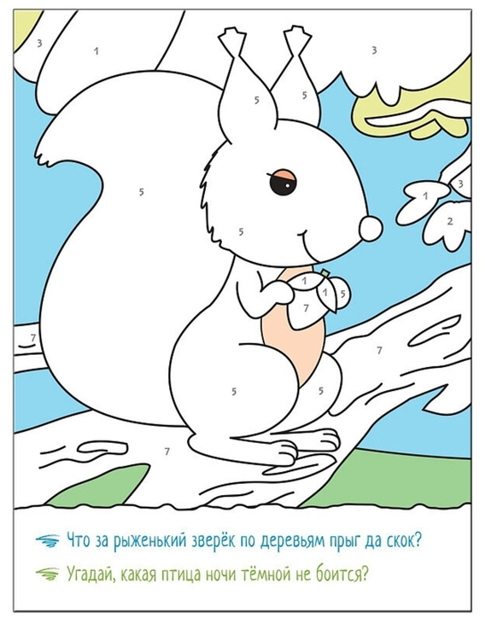 Раскрашиваем по цифрам. В лесу