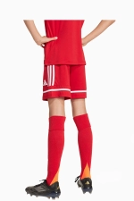 Шорты adidas Squadra 25 Junior - красный
