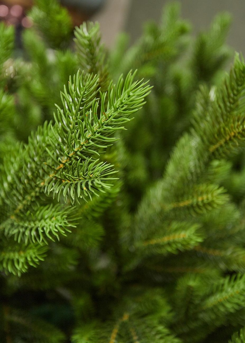 Ель искусственная литая Изящная