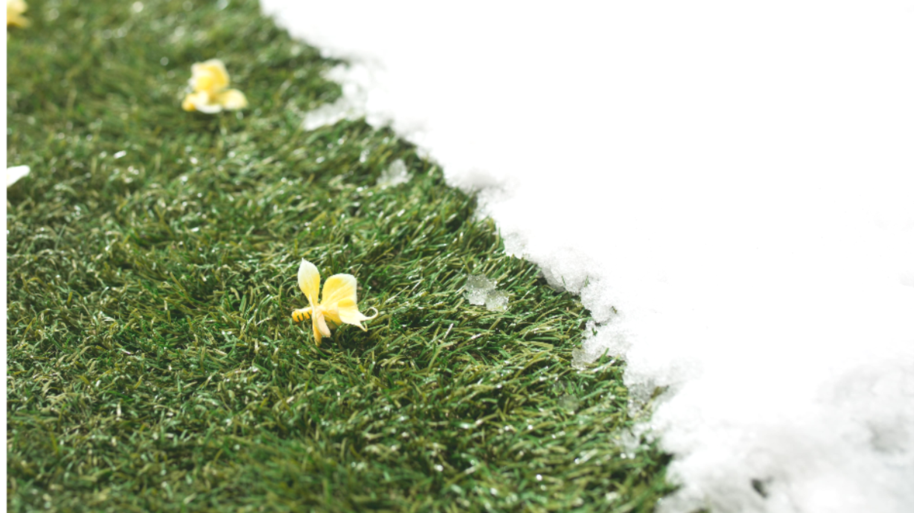 Как сохранить идеальное состояние газонной решетки в зимнее время