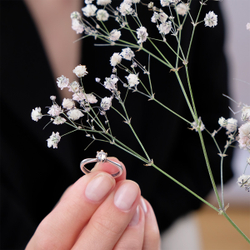 "Шолемо" кольцо в серебряном покрытии из коллекции "Капель" от Jenavi