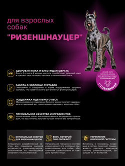 Quattro корм для взрослых собак породы Ризеншнауцер, с говядиной, 12 кг, QUATTRO