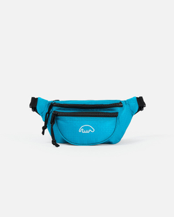 Поясная сумка Anteater Waistbag-RSt-Corsair