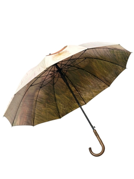 Зонт Арулар