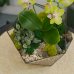 Готовый флорариум с желтой орхидеей Икос