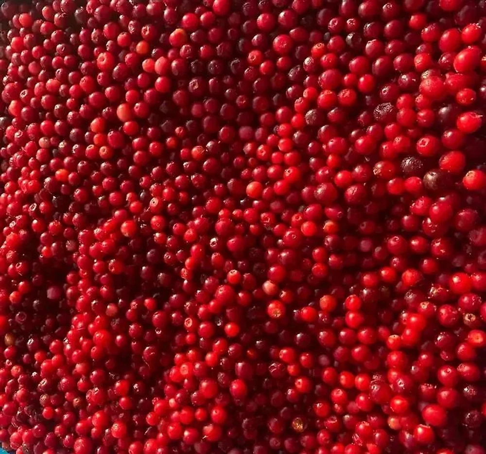 Брусника замороженная 400гр