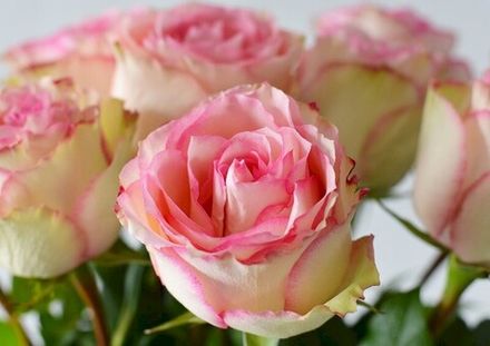 Экспиранса