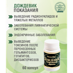 ДОЖДЕВИК, 60 капсул
