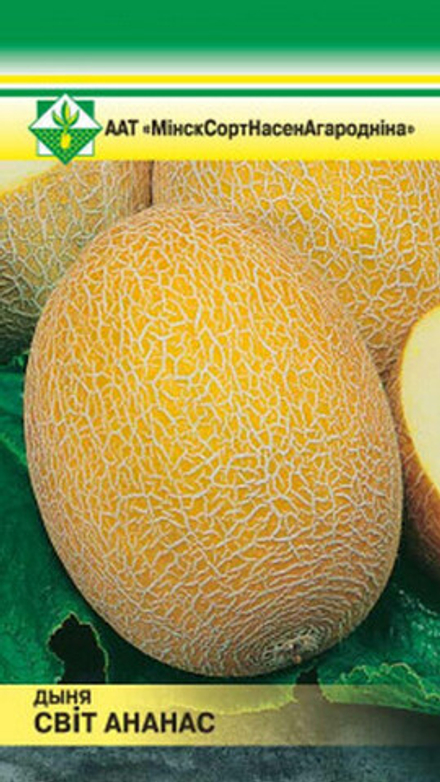 Дыня "Свит ананас" 10шт, Польша.
