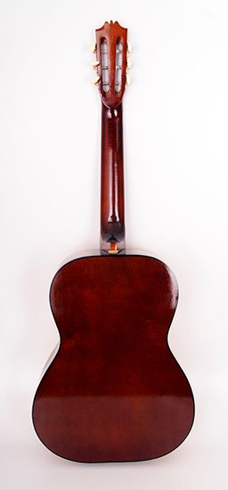 Акустическая гитара Ижевский завод Т.И.М M5KP