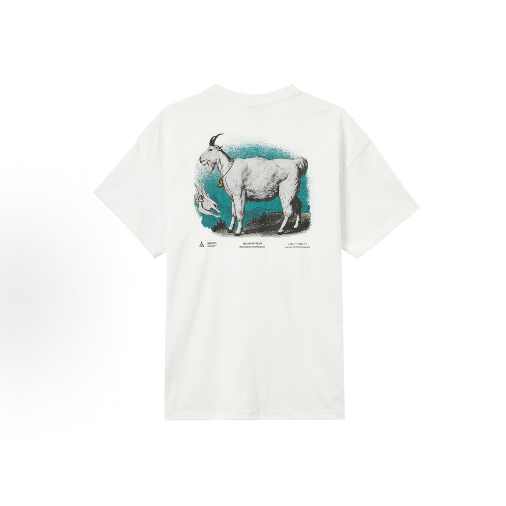 Футболка Nike