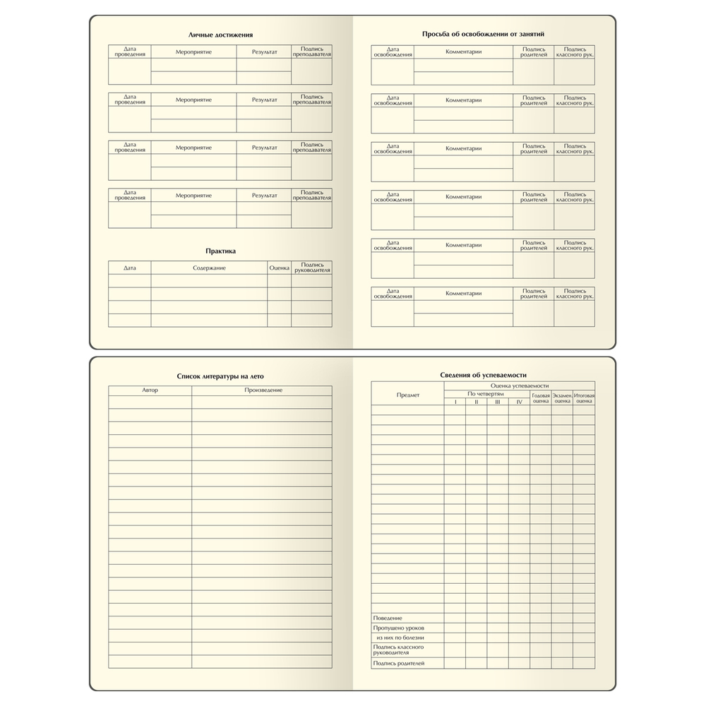 Дневник 1-11 кл. 48л. (ЛАЙТ) "Total gray", иск. кожа, тиснение, цветн. срез, ляссе, BG