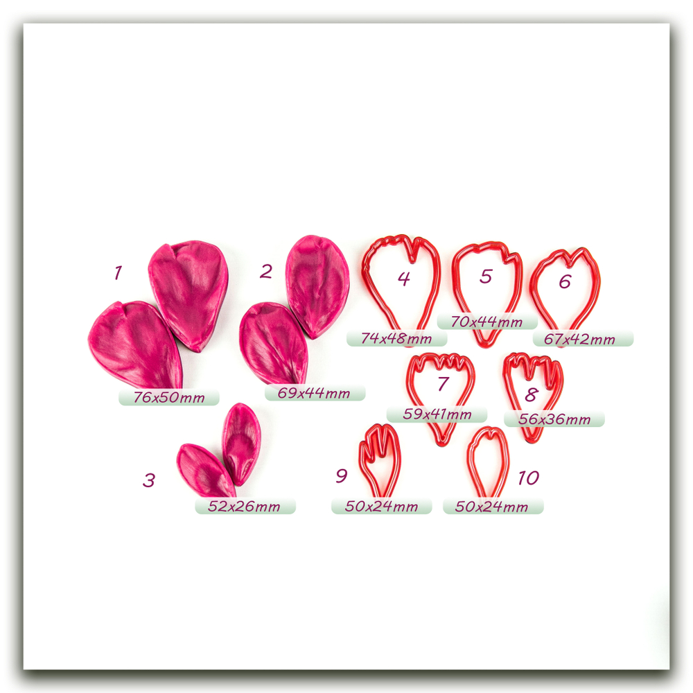 Лепестки пиона садового. Набор оптимальный