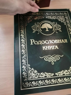 Семейный альбом родословная книга "Застолье", обложка балакрон (малахит)