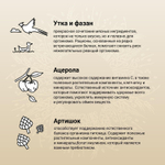 Корм для собак Craftia Natura, 640 г, утка с фазаном
