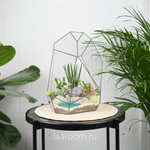 Флорариум с суккулентами Калипсо с озером