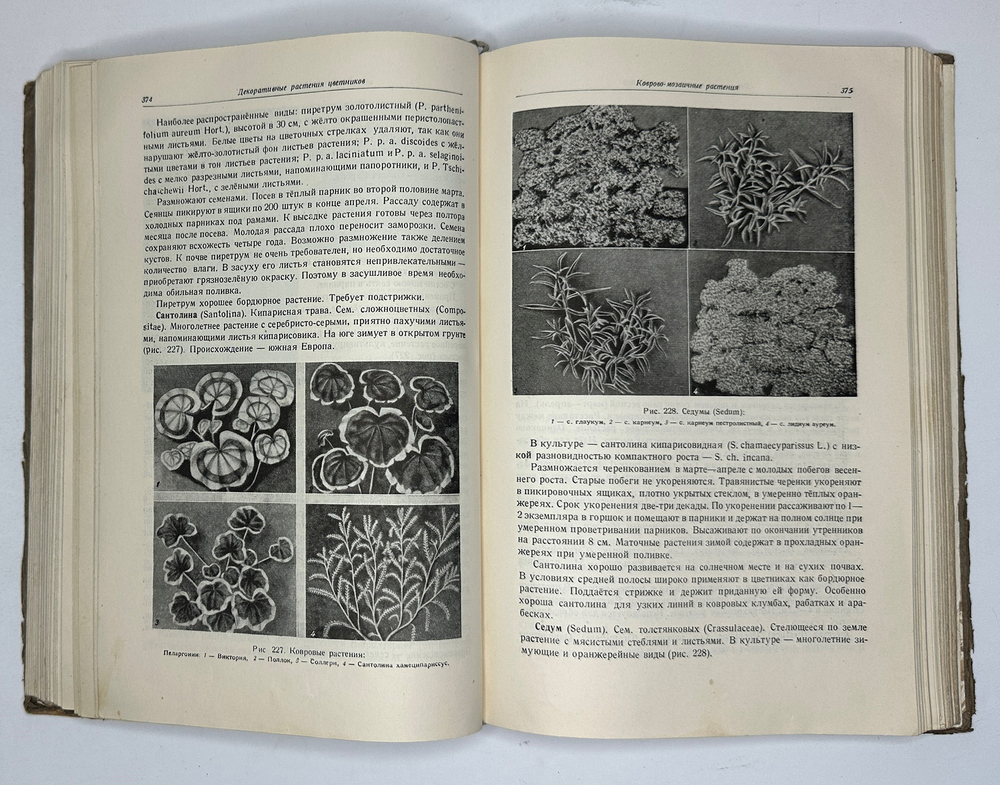 Г. Киселёв. Цветоводство., изд. 1949 г. Подарочное издание с цветными иллюстрациями.