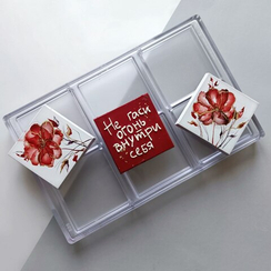 868 | Форма для шоколадных изделий (275*175мм)