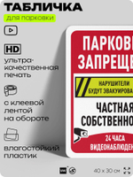 Табличка для парковки "Парковка запрещена, частная собственность, видеонаблюдение", для дома, офиса, организаций, 40х30 см, Silver Plane x Айдентика Технолоджи