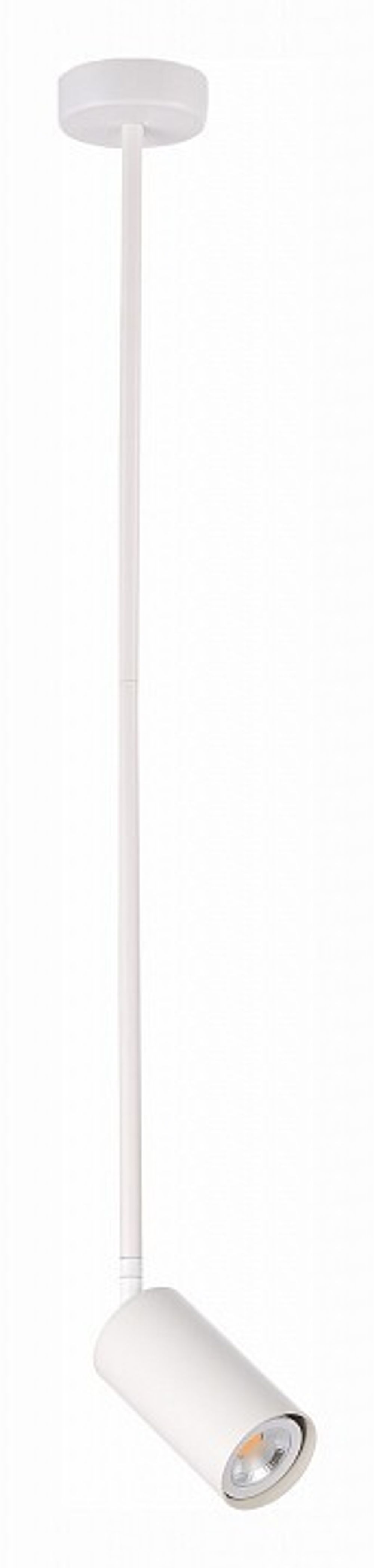 Светильник на штанге ST-Luce Sormano SL1206.503.01