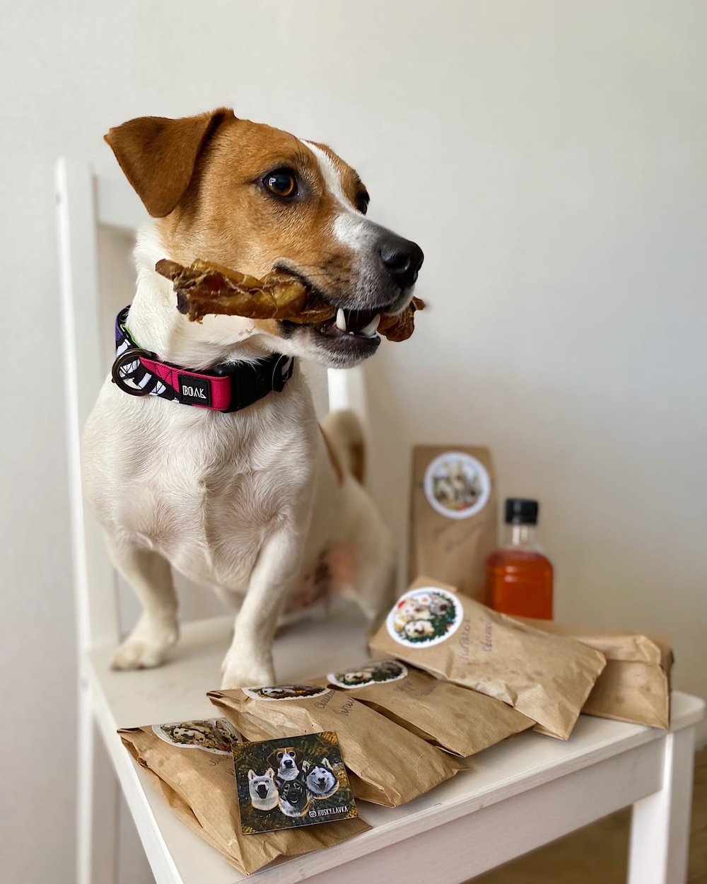 Ошейник Вайб 90-х, наличие