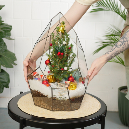 Готовый новогодний флорариум с елью Айсберг