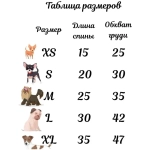 Кофта - свитер для мелких пород собак и кошек «BRO Style ♥», цвет красный, р M