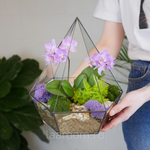 Готовый флорариум с сиреневой орхидеей Алмаз