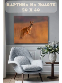 Картина на стену 40 X 50 Кенгуру