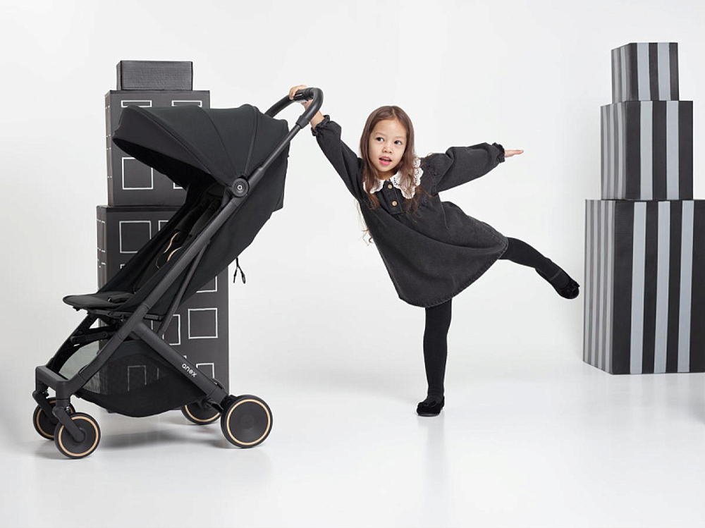 Детская прогулочная коляска Anex Air-X2 Nero