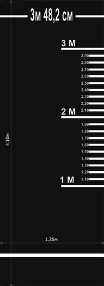 Дорожка для прыжков в длину с места, для сдачи нормативов  (черная)