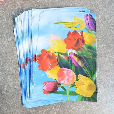 Пакет 20*30см 30мкм с вырубной неусиленной ручкой "Ассорти" (100шт)