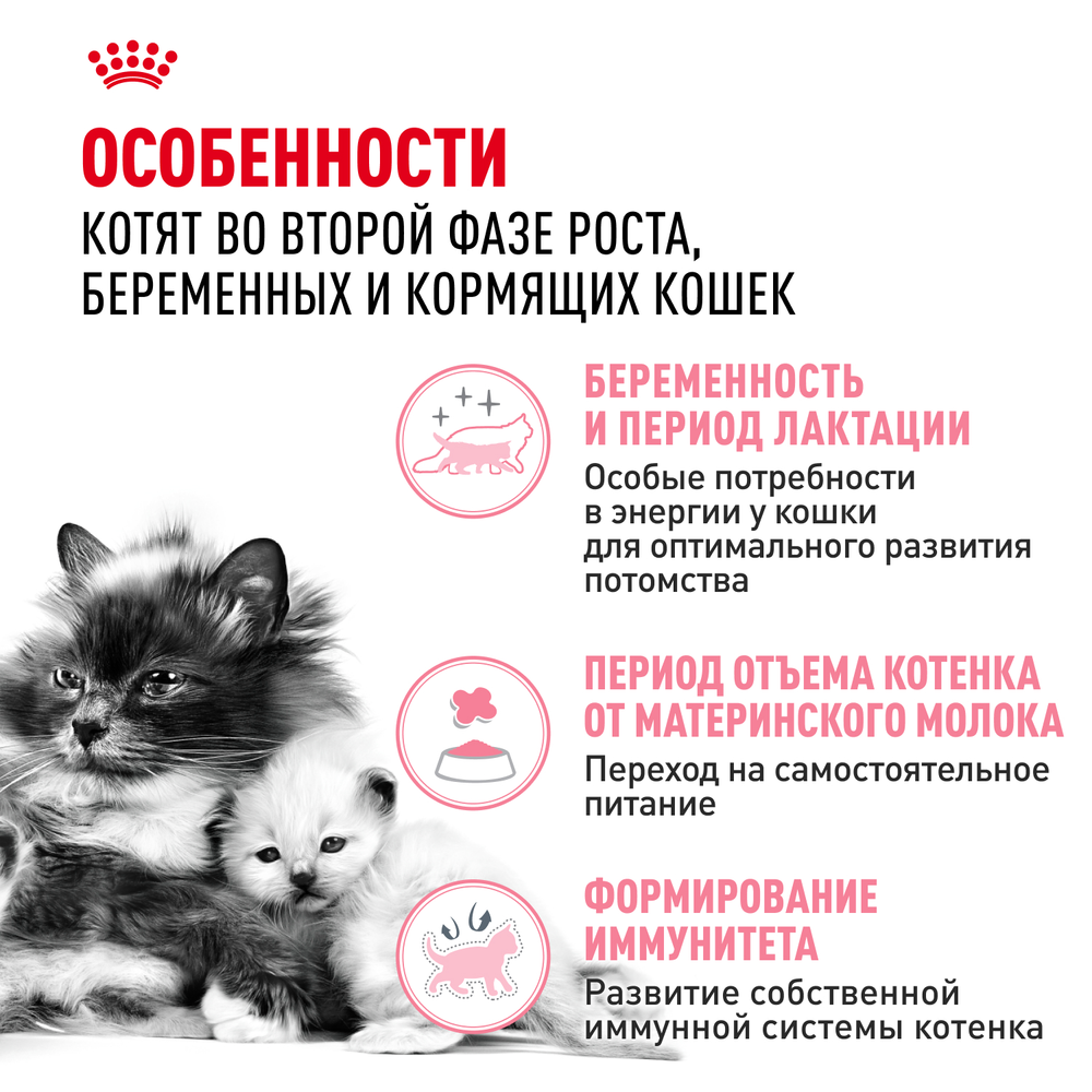 Royal Canin Mother&Babycat Мазэ энд Бэбикэт Корм сухой для котят в период первой фазы роста и отъема беременных и кормящих кошек 2кг