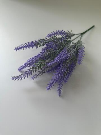 Лаванда ветка