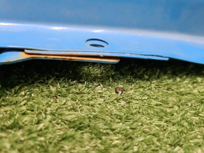 Капот JAC N120 (2016-н.в.)